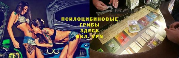бошки Елизово